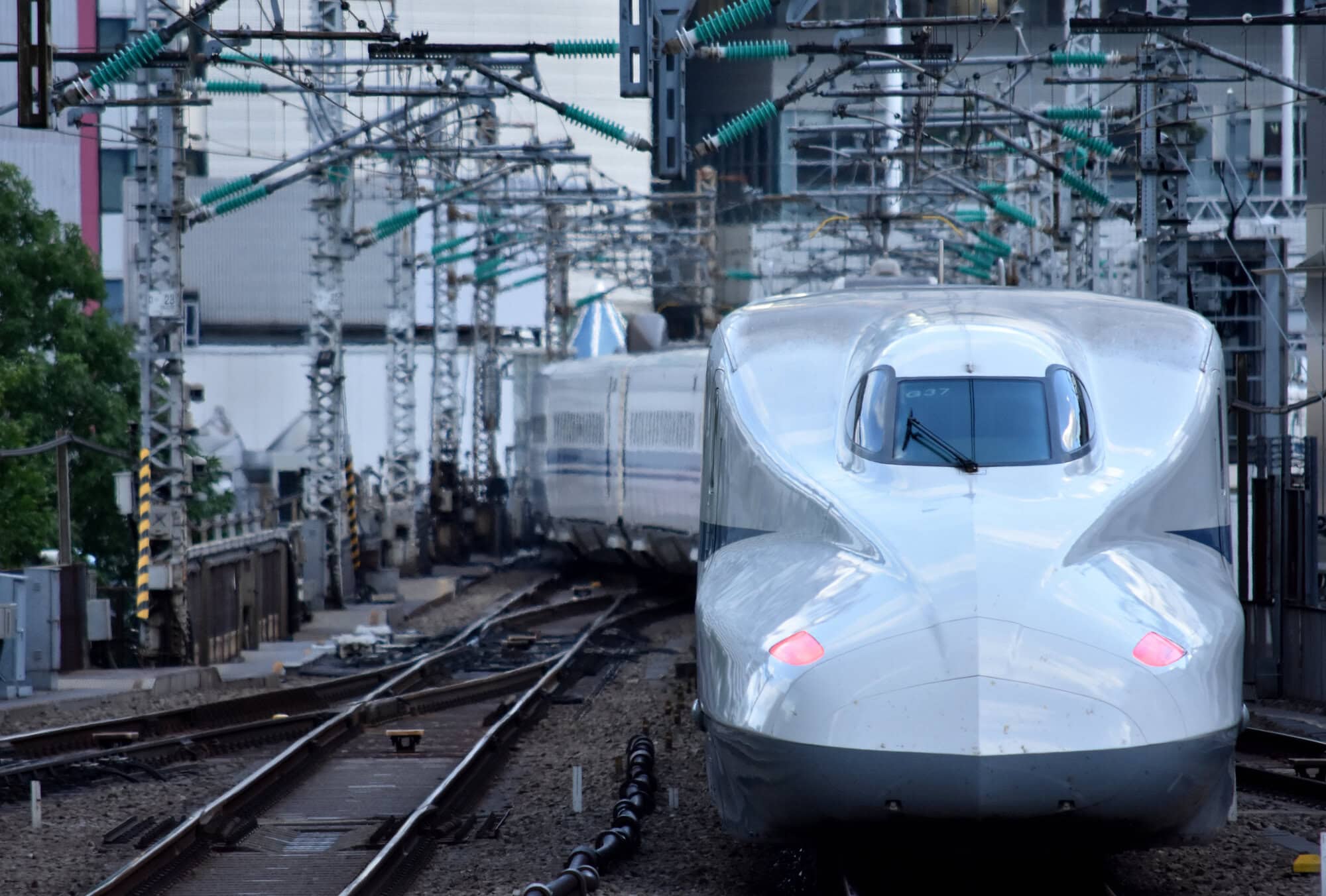 passingshizuoka-photo-gallery-2025-1-13