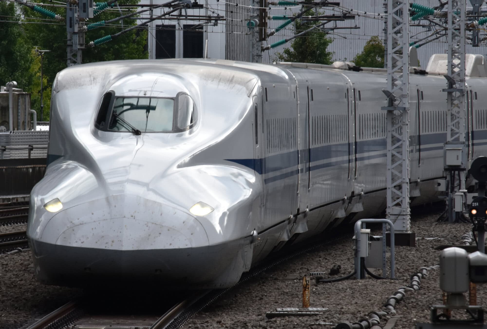 passingshizuoka-photo-gallery-2025-1-14