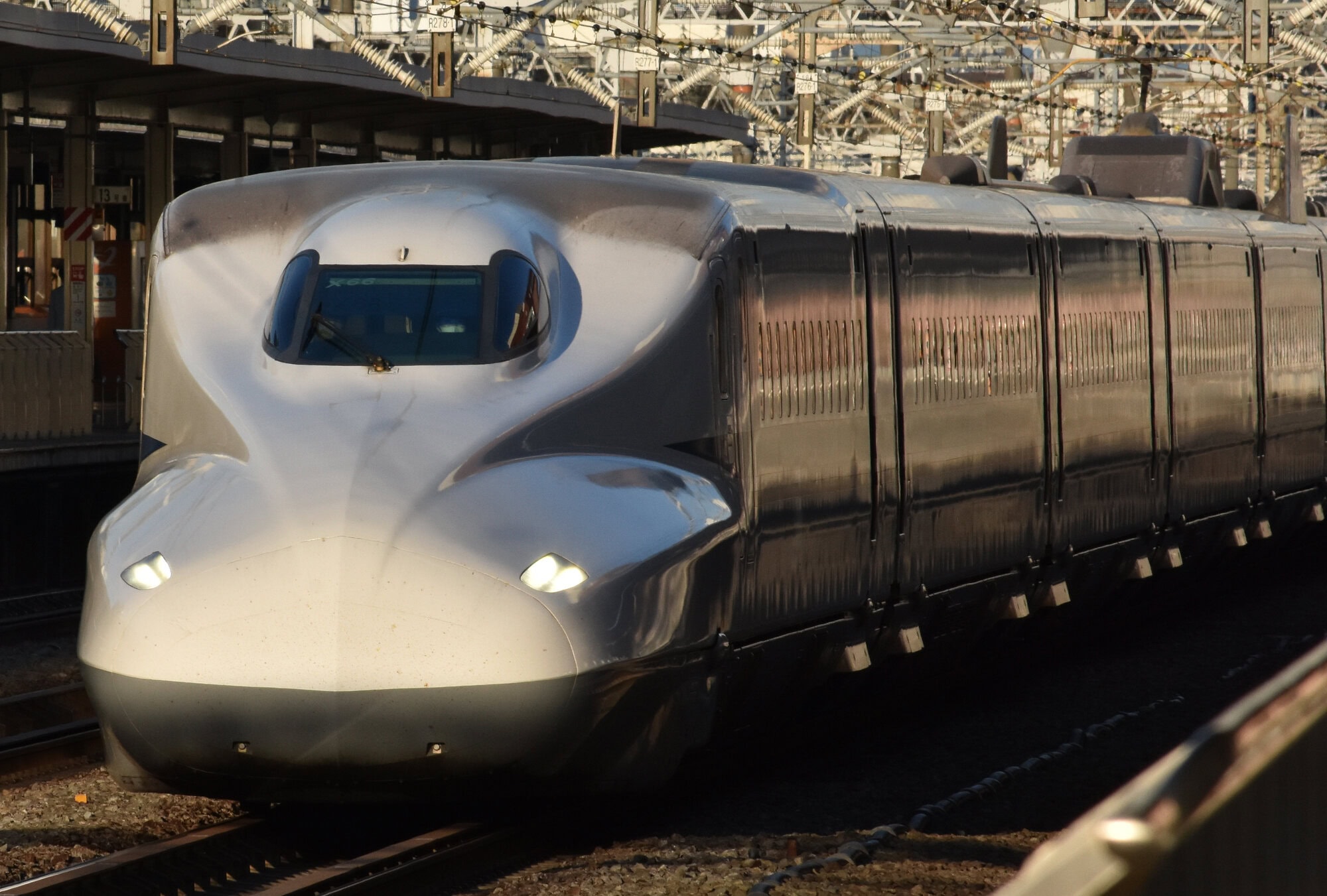 passingshizuoka-photo-gallery-2025-1-18