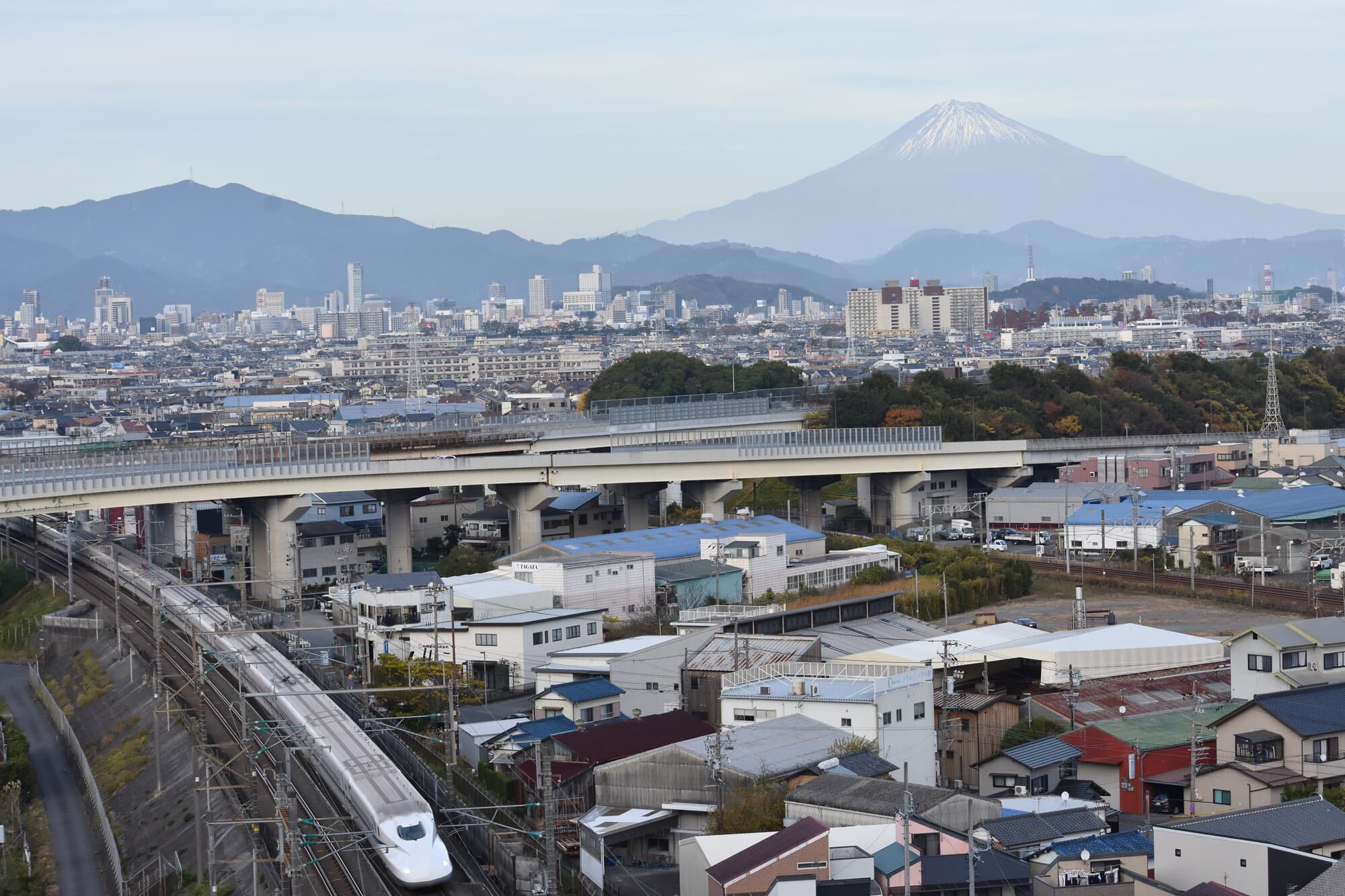 passingshizuoka-photo-gallery-2025-1-21