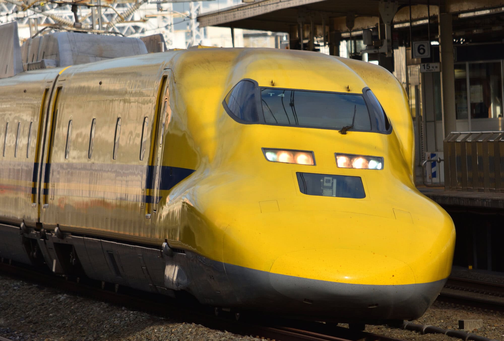 passingshizuoka-photo-gallery-2025-1-25