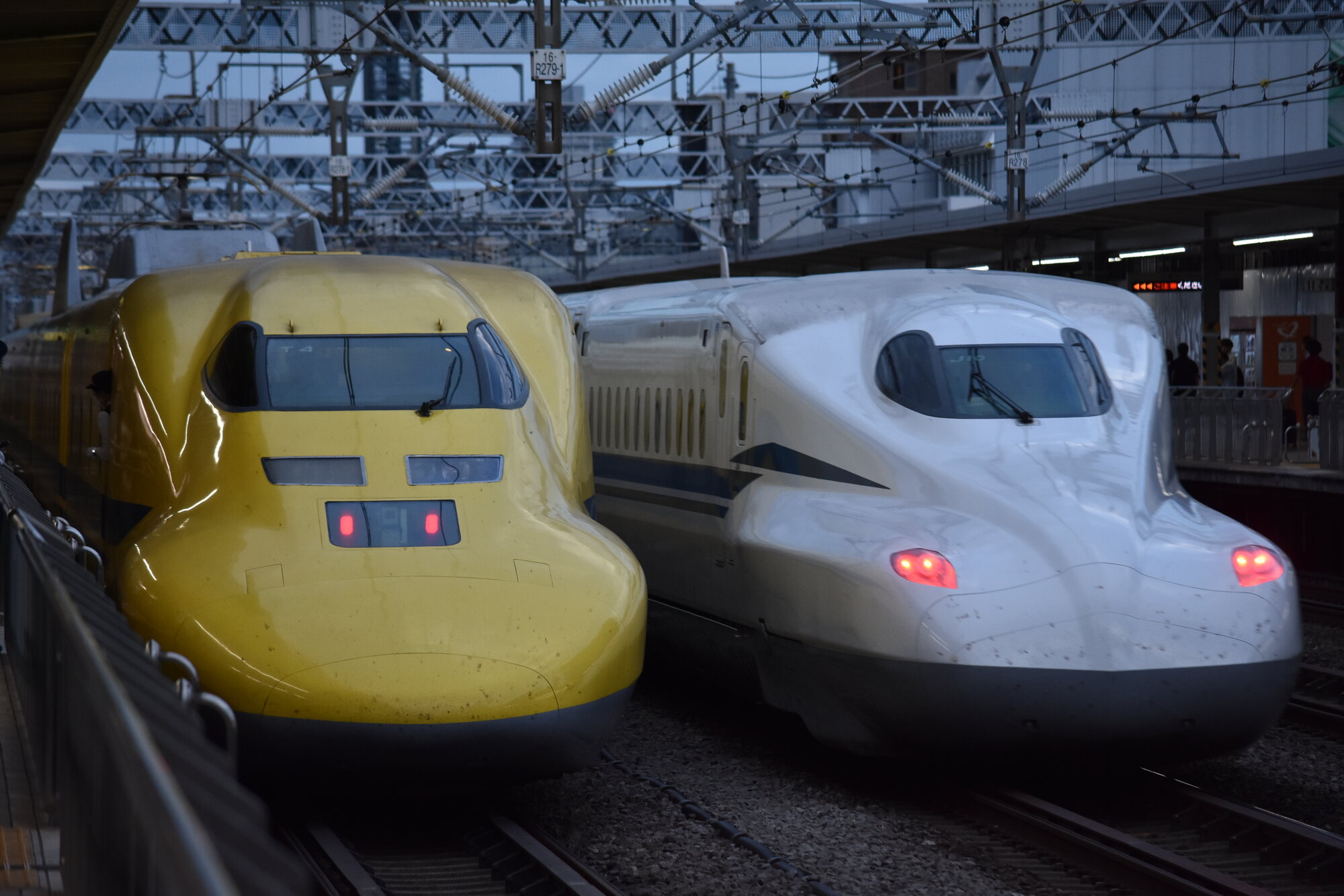 passingshizuoka-photo-gallery-2025-1-26