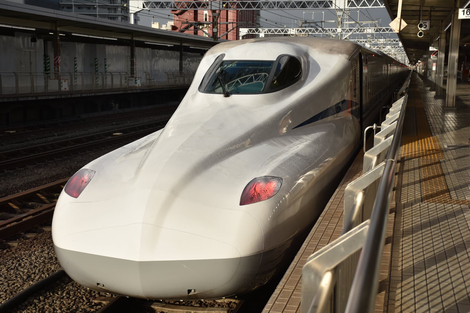 passingshizuoka-photo-gallery-2025-1-3