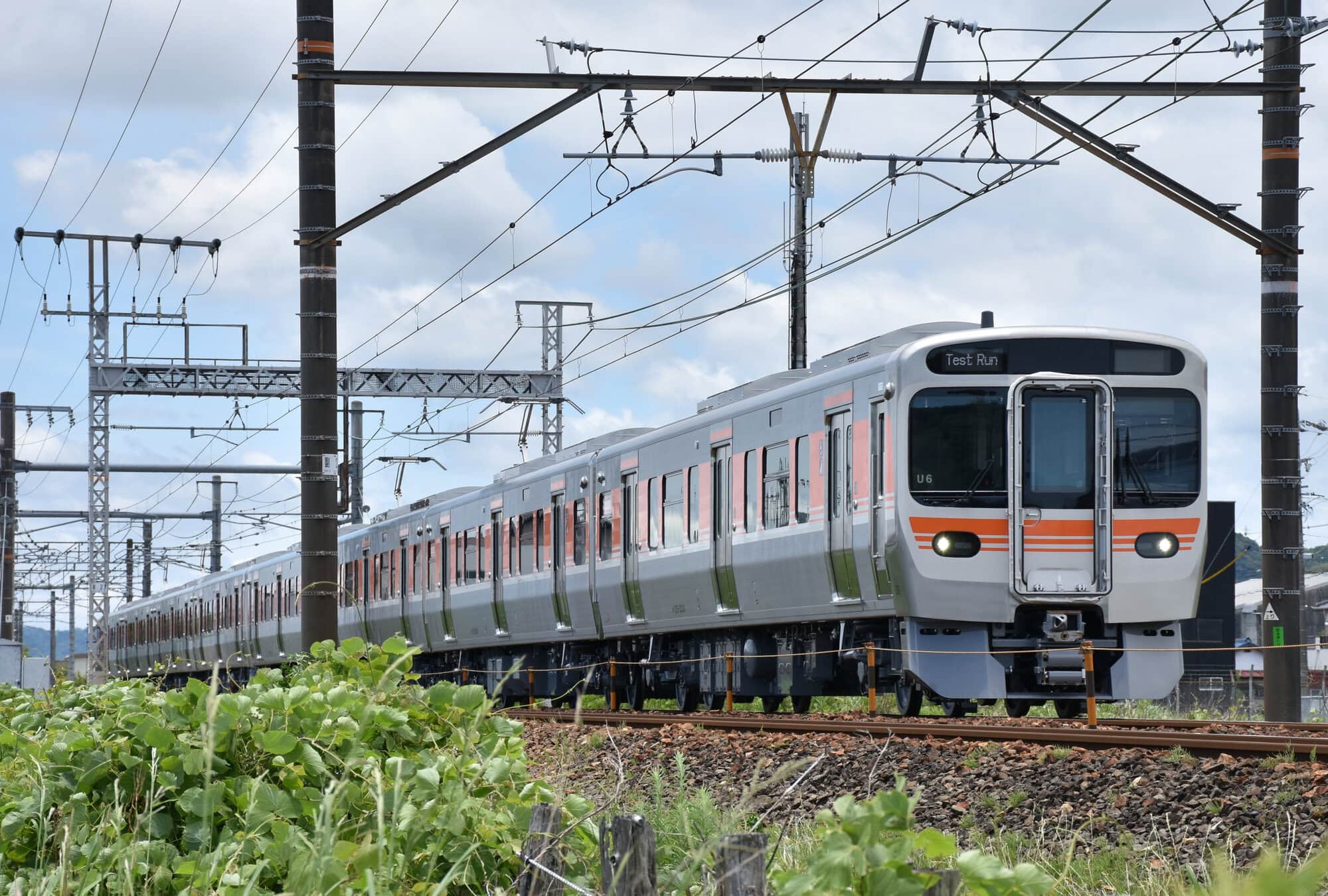 passingshizuoka-photo-gallery-2025-1-33