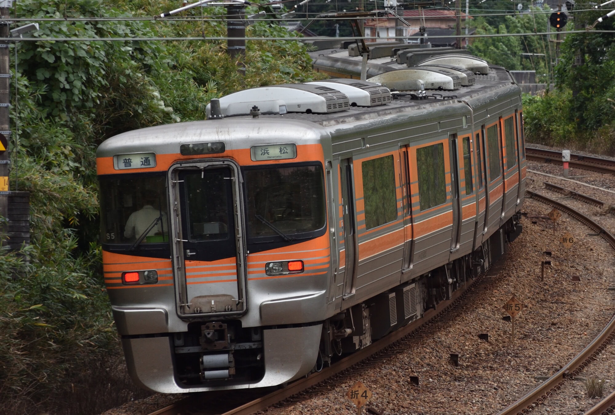 passingshizuoka-photo-gallery-2025-1-34