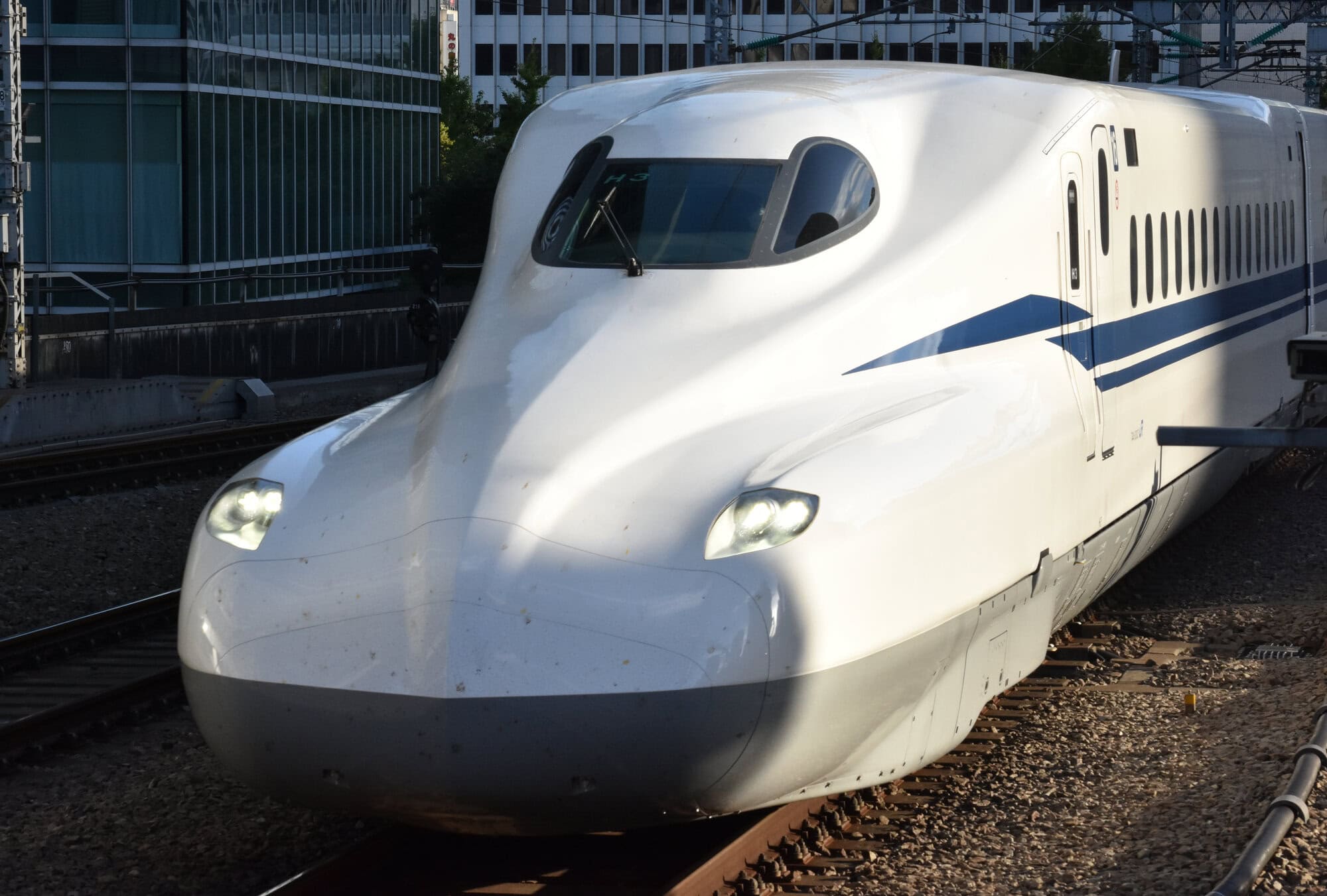 passingshizuoka-photo-gallery-2025-1-4