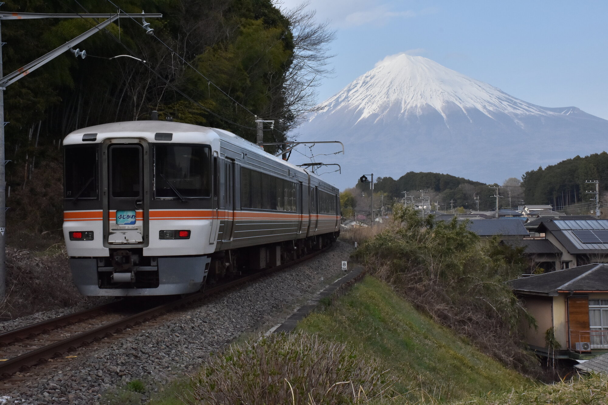 passingshizuoka-photo-gallery-2025-1-48