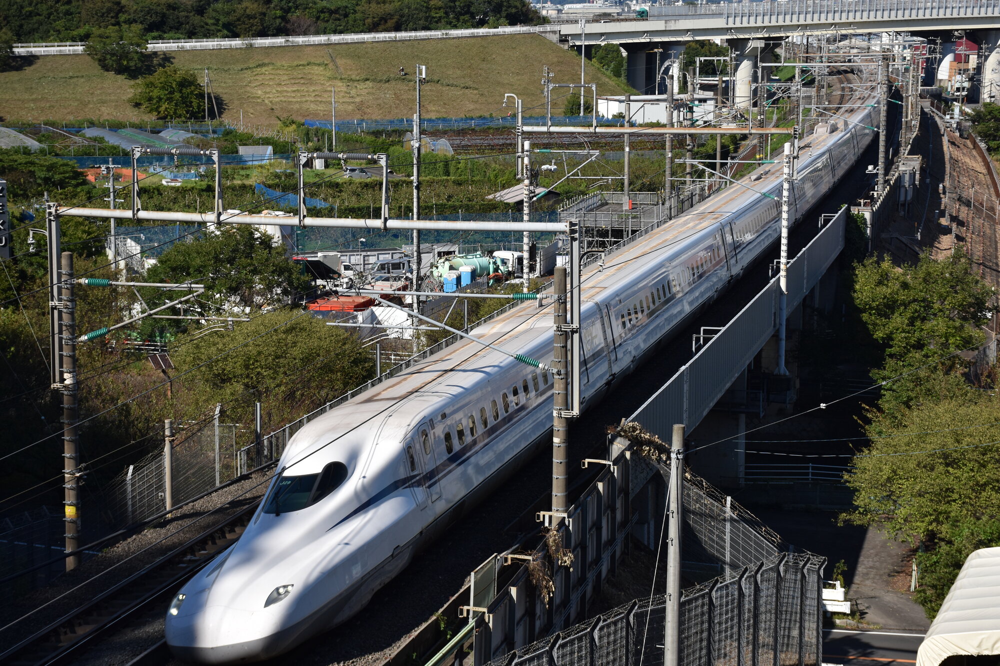 passingshizuoka-photo-gallery-2025-1-5