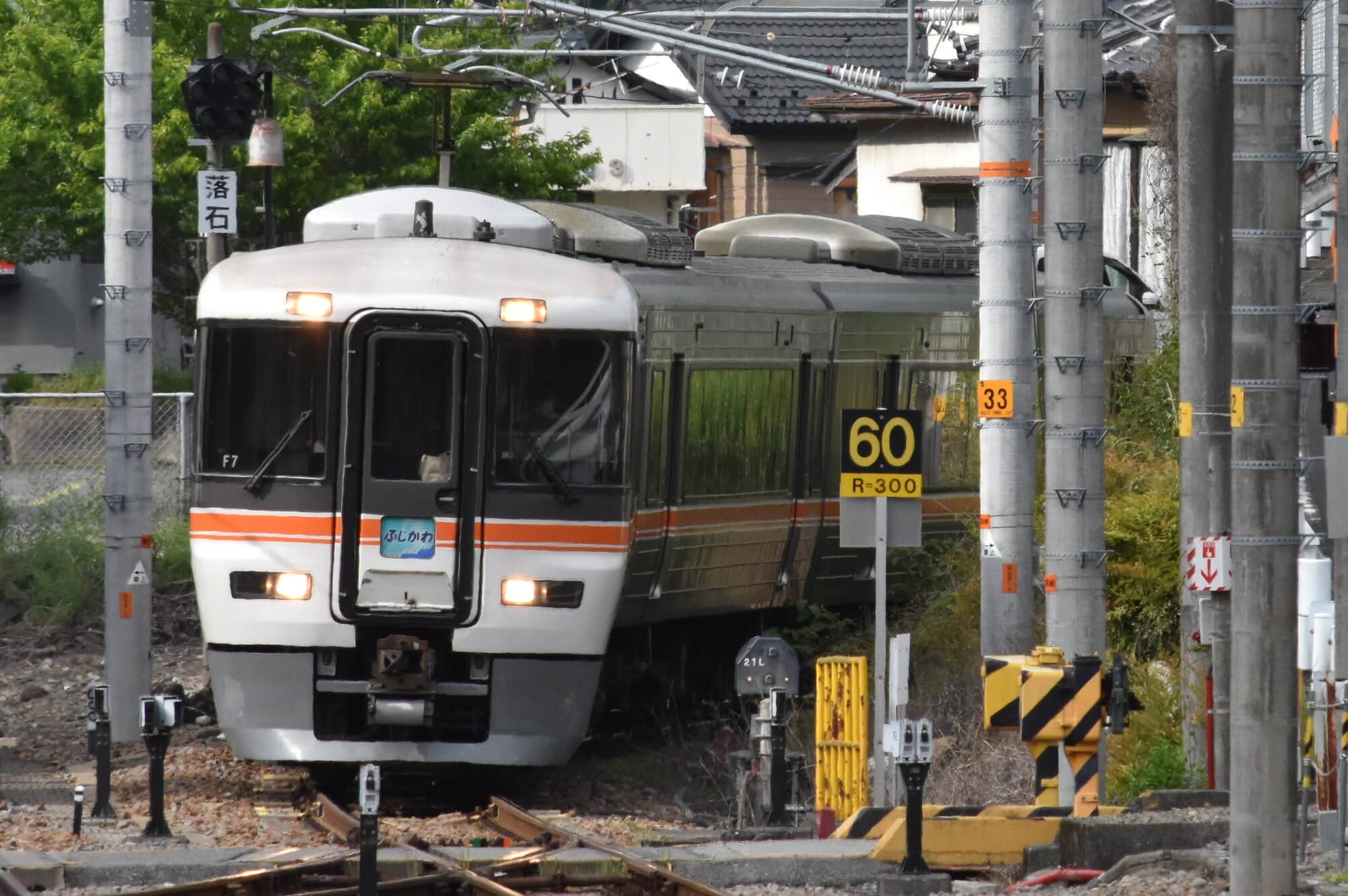 passingshizuoka-photo-gallery-2025-1-50