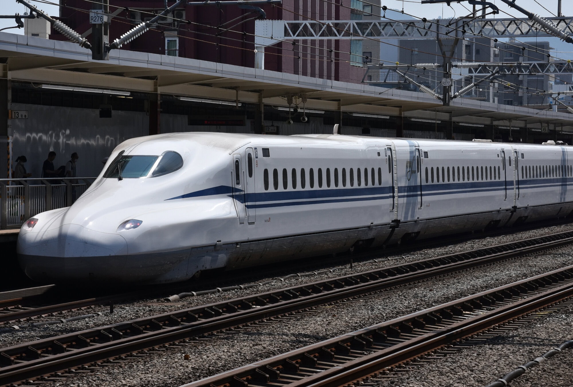 passingshizuoka-photo-gallery-2025-1-8