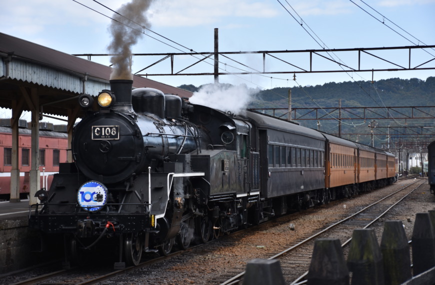 passingshizuoka-photo-gallery-2025-2-40