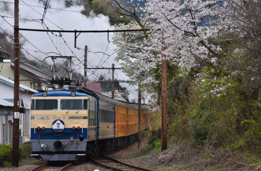 passingshizuoka-photo-gallery-2025-2-42